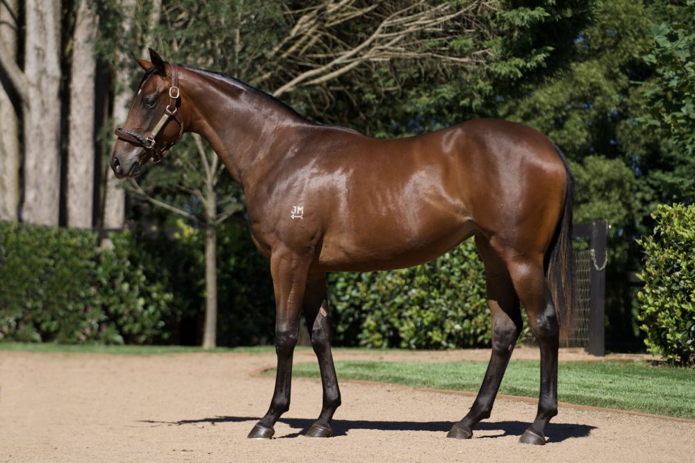 Lot 62