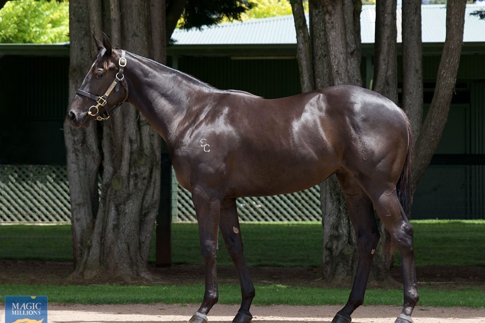 lot 632