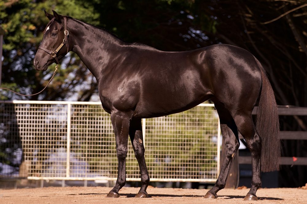 Lot 652 - Hole in Ten