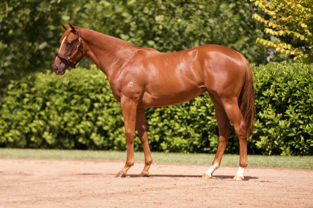 Lot 676