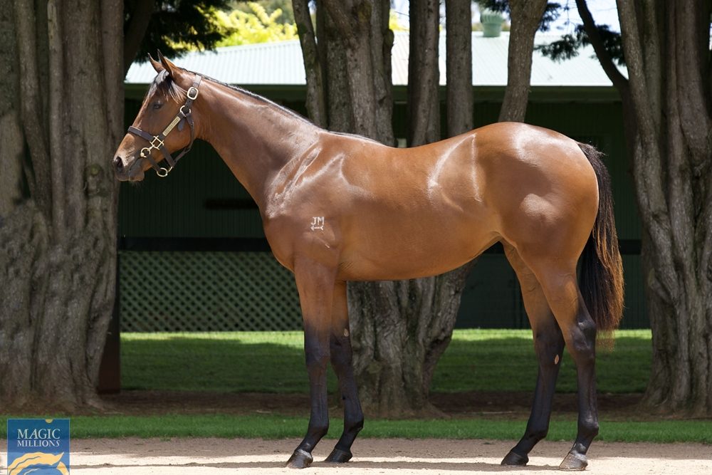 lot 676
