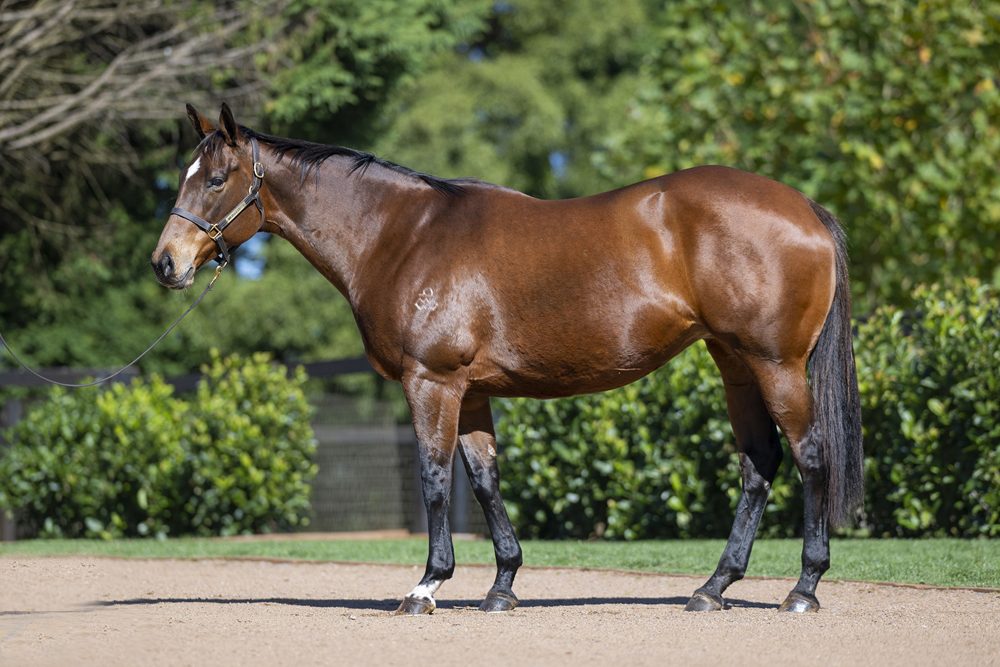 Lot 676