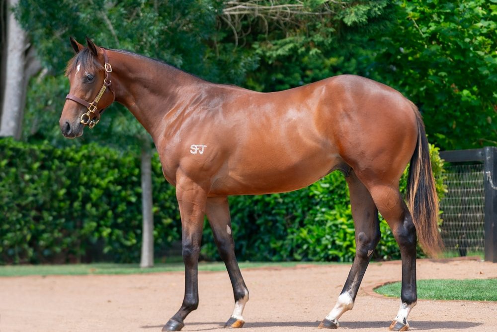 Lot 682