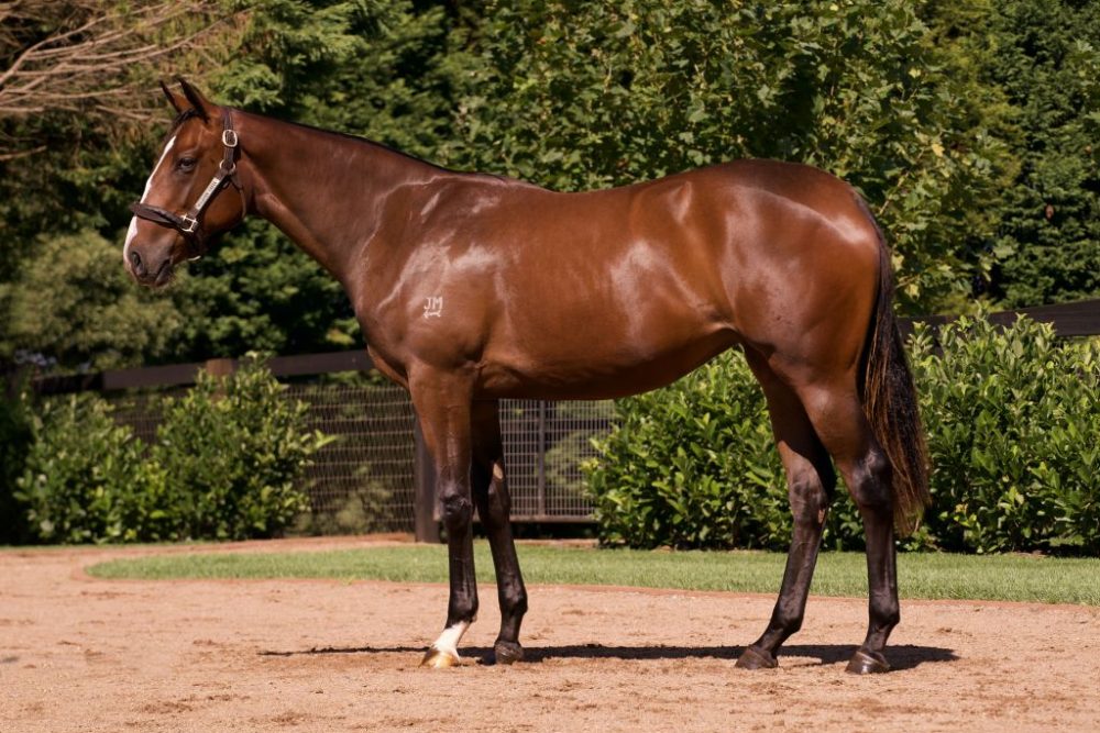 Lot 70