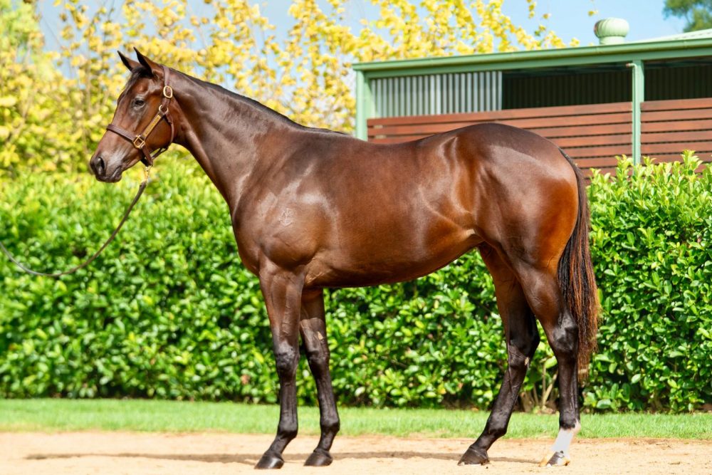 Lot 72