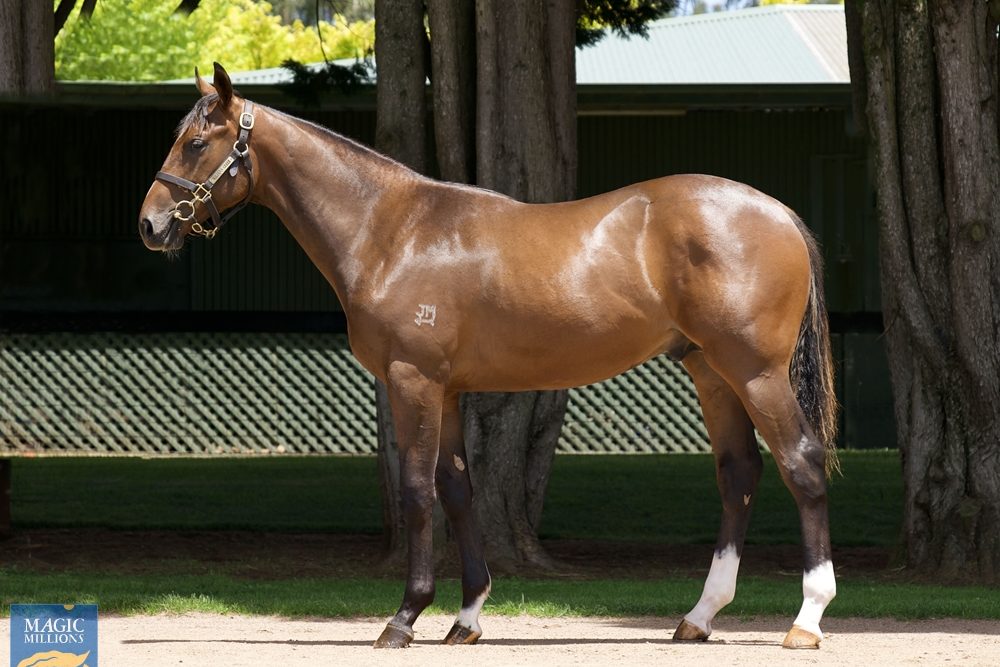lot 790