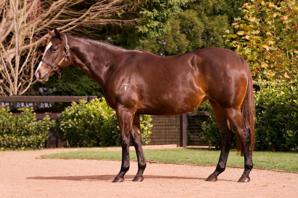 Lot 796