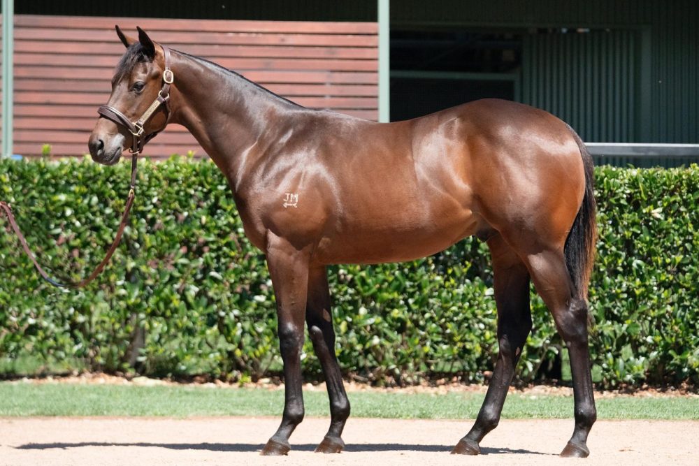 Lot 843