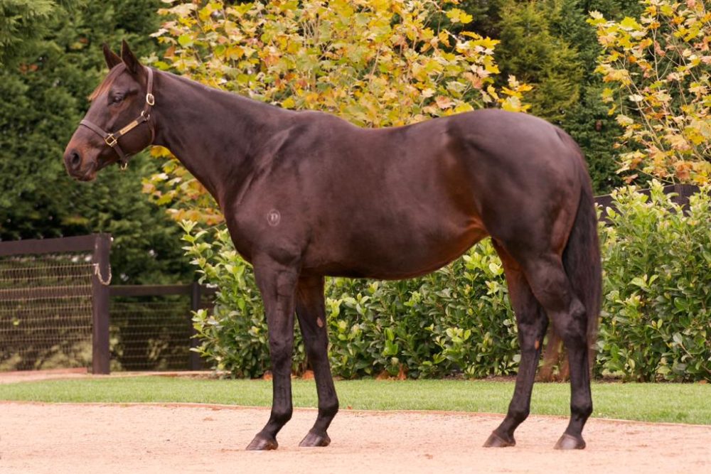 Lot 844