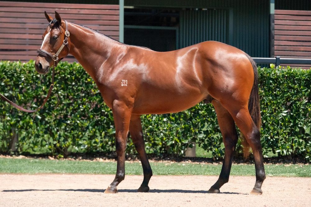 Lot 892