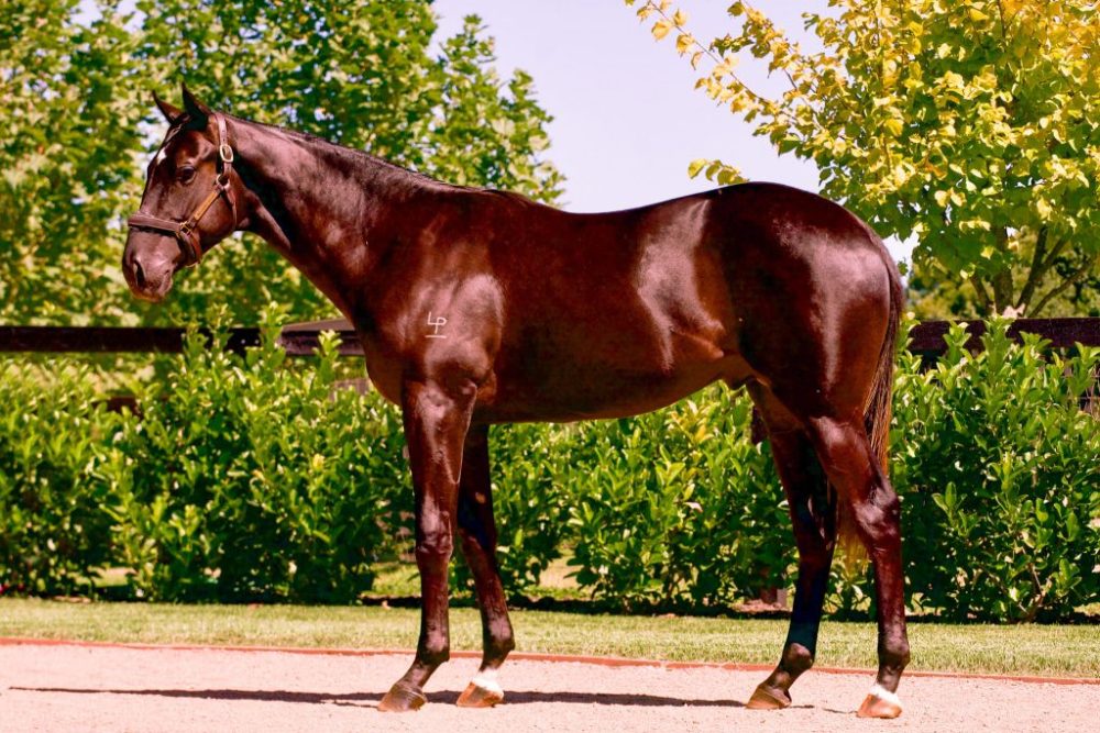 Lot 90