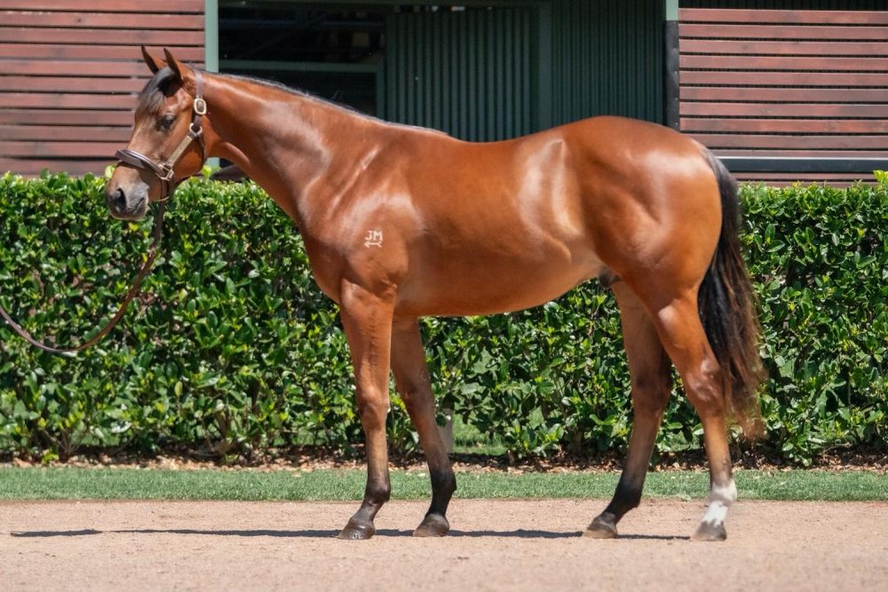 Lot 923