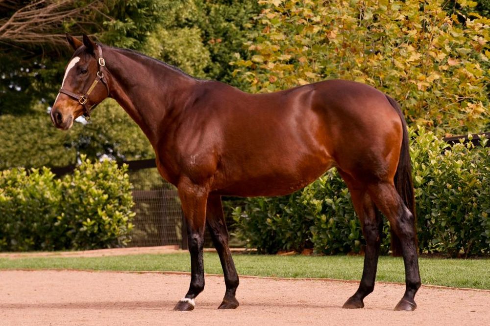 Lot 923