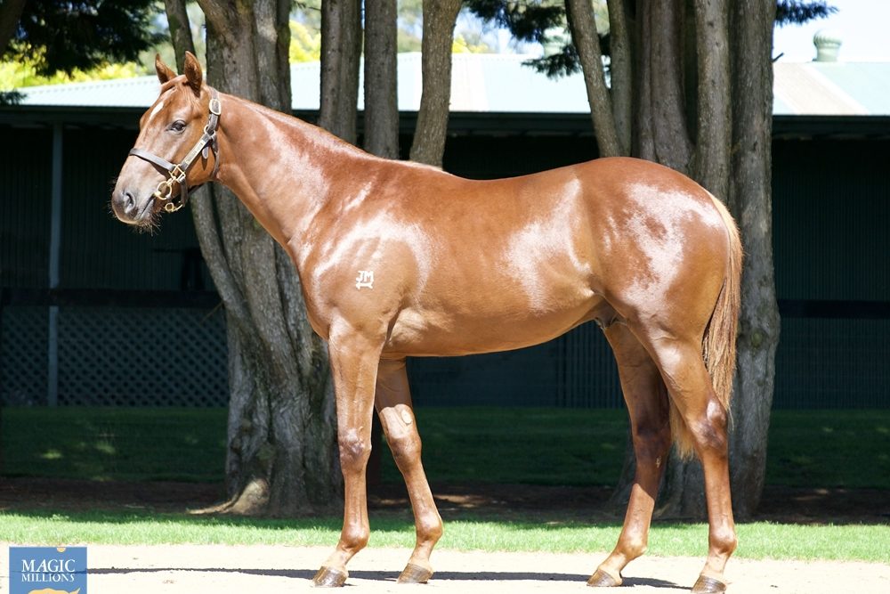 lot 926